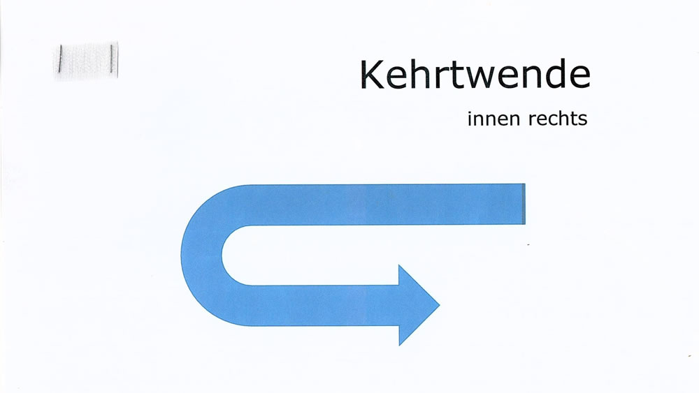 longieren 2