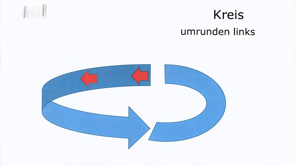 longieren 3